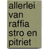 Allerlei van raffia stro en pitriet