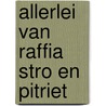 Allerlei van raffia stro en pitriet door Lammer