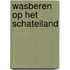 Wasberen op het schateiland