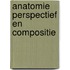 Anatomie perspectief en compositie