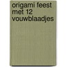 Origami feest met 12 vouwblaadjes door Tiggelaar