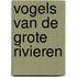 Vogels van de grote rivieren