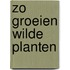 Zo groeien wilde planten