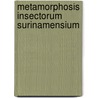 Metamorphosis Insectorum Surinamensium by Merian