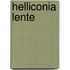 Helliconia lente