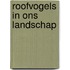 Roofvogels in ons landschap