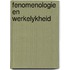Fenomenologie en werkelykheid
