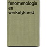 Fenomenologie en werkelykheid door Peursen