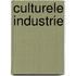 Culturele industrie