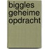 Biggles geheime opdracht