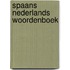 Spaans nederlands woordenboek