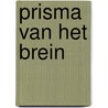 Prisma van het brein door A. Bergsma