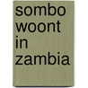 Sombo woont in zambia door Siege