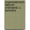Organisatorisch labyrint vriendenb. c. lammers by Pauline Meurs