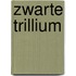 Zwarte trillium