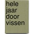 Hele jaar door vissen