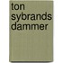 Ton sybrands dammer