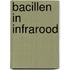 Bacillen in infrarood