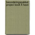 beoordelingspakket Project Book 4 havo