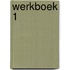 Werkboek 1