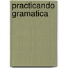Practicando gramatica door M. Wouters Dun