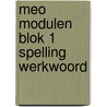 Meo modulen blok 1 spelling werkwoord by Hollander