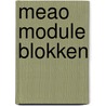 Meao module blokken door Hollander