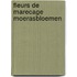 Fleurs de marecage moerasbloemen