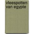 Vleespotten van egypte