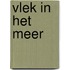 Vlek in het meer