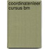 Coordinatenleer cursus bm