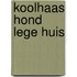 Koolhaas hond lege huis