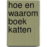 Hoe en waarom boek katten by King