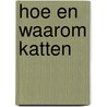 Hoe en waarom katten by King
