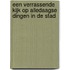 Een verrassende kijk op alledaagse dingen in de stad