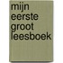 Mijn eerste groot leesboek
