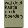 Wat doet kaatje op de boerdery door Coppenolle