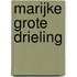 Marijke grote drieling