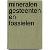 Mineralen gesteenten en fossielen door Minelli