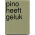 Pino heeft geluk