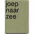 Joep naar zee