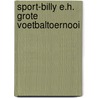 Sport-billy e.h. grote voetbaltoernooi door Hetty van den Heuvel