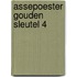 Assepoester gouden sleutel 4