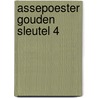 Assepoester gouden sleutel 4 door Heuvel