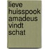 Lieve huisspook amadeus vindt schat