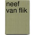 Neef van flik