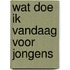 Wat doe ik vandaag voor jongens