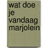 Wat doe je vandaag marjolein