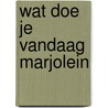 Wat doe je vandaag marjolein door Voilier