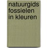 Natuurgids fossielen in kleuren door Rodes